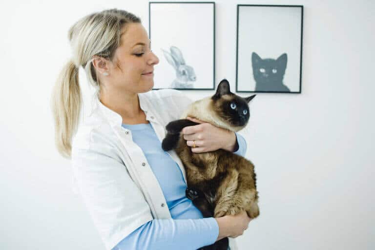 Kat sammen med dyrlæge Amalie fra dyrlægen i Espergærde